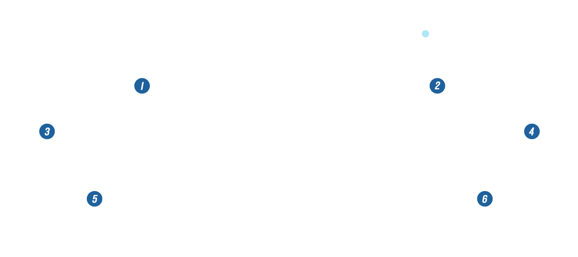 竞价托管